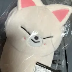 straykids アイエン フォクシニー うちわカバー - メルカリ