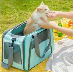 Item thumbnail for item 5dd135d9-747b-401a-8106-2d2d40871398