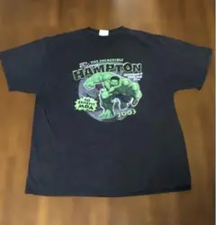 希少！アメコミ！ハルク✴︎スポンサー！ヴィンテージTシャツ ヘインズボディ XL
