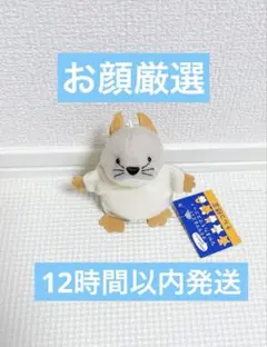 KNICK KNACK ニックナック ねずみ ネズミ お手玉 オテダマネズミ