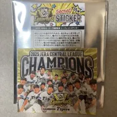 阪神タイガース 優勝記念シークレットステッカー 投手陣