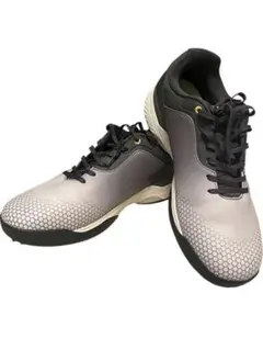 MIZUNO FitVille ゴルフシューズ グレー/ブラック 29㎝のサムネイル