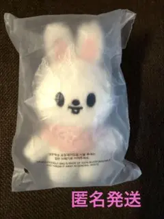 Stray Kids スキズ ペンミ TOY ぬい Leebit リビット リノ - メルカリ