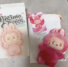 ラブブ 2体セット ポップマート