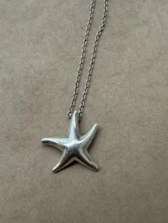 2026年最新】ティファニー スターフィッシュの人気アイテム - メルカリ