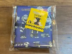 [新品・未使用] スヌーピー　デイリーバッグ　ブルー　スヌーピーライン