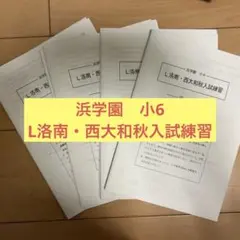 2025年最新】L洛南西大和の人気アイテム - メルカリ