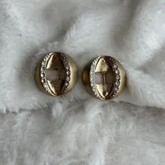 Pierre Cardin イヤリング　#2506