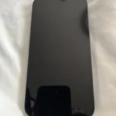 Apple iPhone 13 Pro シエラブルー 256GB