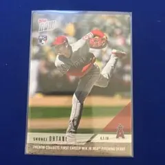 Item thumbnail for item 66cd70a5-e5dd-4097-a14b-630c409cb2cd