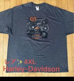 ハーレーダビッドソン ヴィンテージTシャツ 古着 大きいのサムネイル