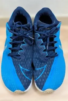 ナイキ ハイパーダンク 2017 LOW NYC / PHOTO BLUE 28 - メルカリ