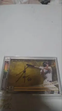 Item thumbnail for item 17fed339-29db-4414-8dbc-9e5251668b97