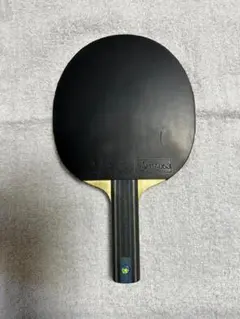 【コーちゃん様専用】