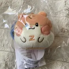 2026年最新】ビニニ zb1の人気アイテム - メルカリ