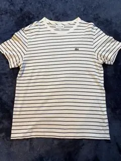 LACOSTE ラコステ ボーダー Tシャツ Mサイズ