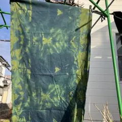 Item thumbnail for item 372f432d-8e06-486a-b846-922164fb582d