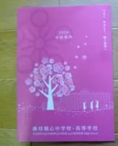 Item thumbnail for item aafb9807-8f26-46fd-b0a5-eb1b67f6ed70