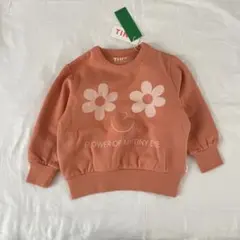 Item thumbnail for item 9f1f5373-7d37-4093-a14a-683212fc26ce