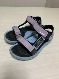 Item thumbnail for item 0d5116f3-0202-4b91-a551-c1f27784917f