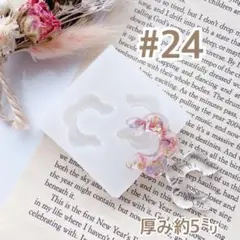 シリコンモールド#24