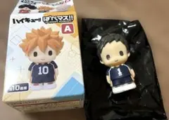 ハイキュー　ぱぺマスA　澤村大地