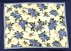 Item thumbnail for item db2edde2-c1a0-4255-9f48-782aa7ea8dc4