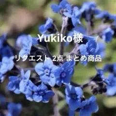 Yukiko様 リクエスト 2点 まとめ商品