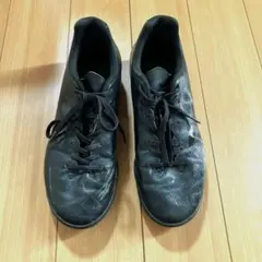 Mizuno　モナルシーダネオ　サラ　24.5cm