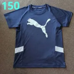 プーマ　半袖Tシャツ 150