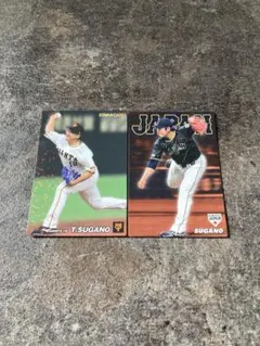 【レア】プロ野球チップスカード　菅野セット