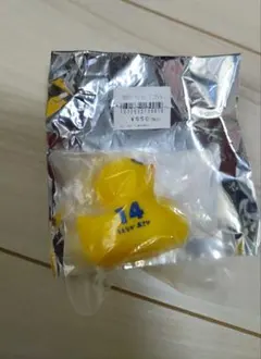 横浜Fマリノス　植中朝日選手　アヒル