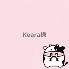 Koara様 リクエスト 2点 まとめ商品