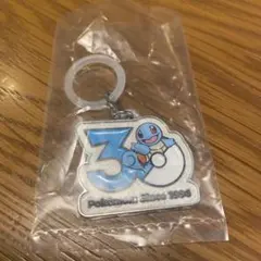 ポケモン　30周年　メタルチャームマスコット