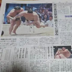 大相撲 霧島 藤凌駕 新聞記事 即日発送のサムネイル
