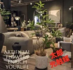 フェイクグリーン 人工観葉植物 光触媒 壁掛け 造花 インテリア 光触媒