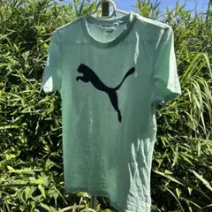 PUMA ミントグリーン Tシャツ 160のサムネイル