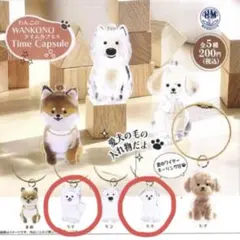 ガチャ！わんこのタイムカプセル 2種セット