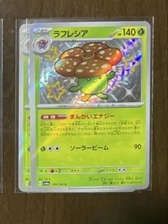 Item thumbnail for item 4b481fa3-b329-4cba-96ad-7c4c27f53875