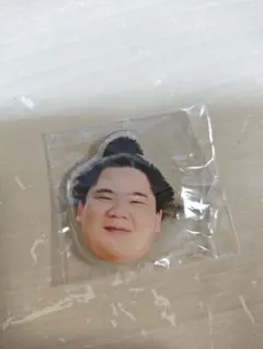 Item thumbnail for item 8123ecea-4ffc-416f-a876-7b0b787a8c53