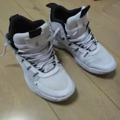 JORDAN "JUMPMAN2020" 26.5