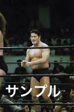 プロレス生写真　アントニオ猪木④ 12枚1組