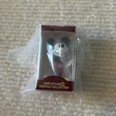Disney ミニチュア & パッケージコレクション ミッキーマウス