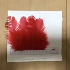 赤い羽根 5枚