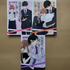 ☆営業部の高杉さんは心臓に悪い 1~4巻 3巻抜け 3冊セット