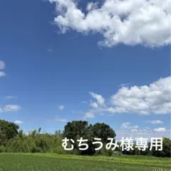 むちうみ様専用