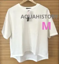 AQUAHISTORY / ポンチワイドTのサムネイル