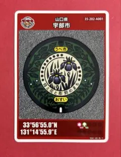 Item thumbnail for item 9427733b-d5a2-435a-9d79-4210856d19f5