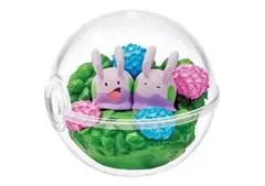 ポケモン　リーメント　テラリウム　ヌメラ　未開封品