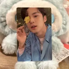 seventeen セブチSector17 ミンギュ トレカ